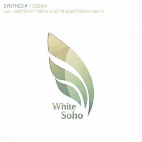 Download track Ocean (Original Mix) Synthesia