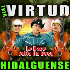 Download track La Huazanga Trio Virtud Hidalguense