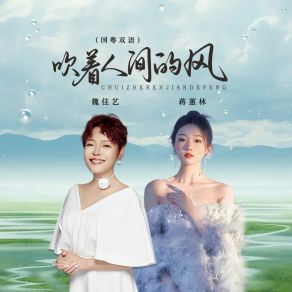 Download track 吹着人间的风 (Dj京仔国粤双语 伴奏) 蒋蕙林