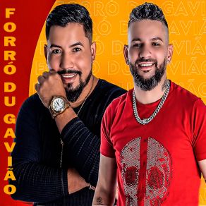 Download track Coração Cachorro Forró Du Gavião