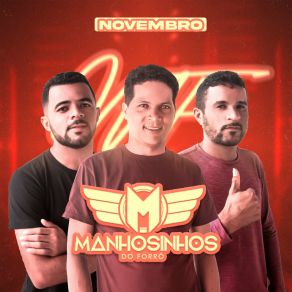 Download track Som Gravão Manhosinhos Do Forró