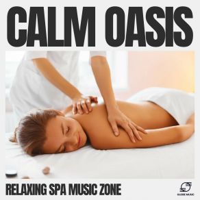 Download track Tranquil Tides Relaxing Spa Music Zone