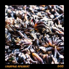 Download track Antifa Carapaus Afrobeat