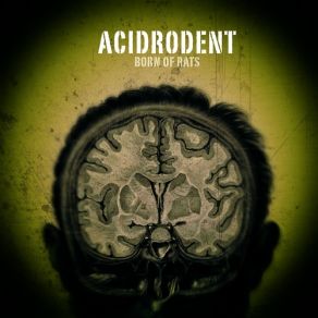 Download track Born Of Rats (Shit Giver Remix) Acidrodent