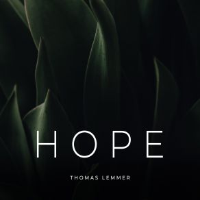 Download track Never Lose Hope Thomas LemmerValeska Rautenberg