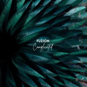 Download track Complicated (Radio Edit) Fuzion