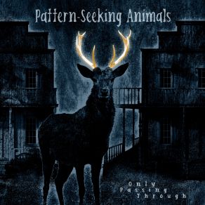 Download track Said The Stranger Pattern-Seeking Animals