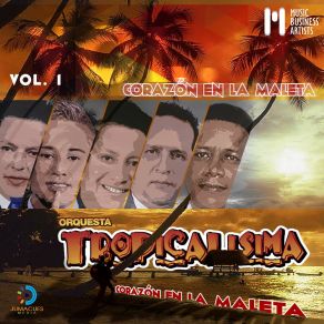 Download track Te Quiero Para Mi Orquesta Tropicalisima