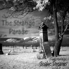 Download track God Guide My Ship Todd Perkins' Snake Dreams