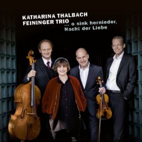 Download track Piano Trio In G-Minor, Op. 8 IV. Finale. Allegretto Feininger Trio, Katharina Thalbach