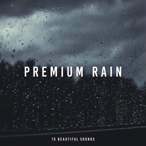 Download track Easy Rain Nature Sounds