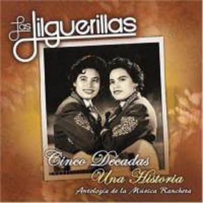 Download track Amor De Los Dos Las Jilguerillas