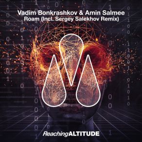 Download track Roam (Sergey Salekhov Remix) Amin SalmeeSergey Salekhov