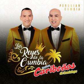 Download track Collar De Lágrimas Orquesta Caribeños De Guadalupe