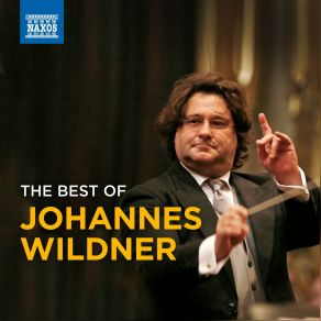 Download track Die Meistersinger Von Nürnberg (The Mastersingers Of Nuremberg): Overture Johannes WildnerPolish National Radio Symphony Orchestra