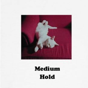 Download track Lascaux Medium Hold