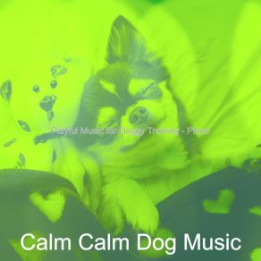 Download track Chilled Doggy Training Calm Calm Dog Music