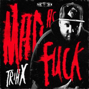 Download track Spit In Your Face (Radio Edit) Triax