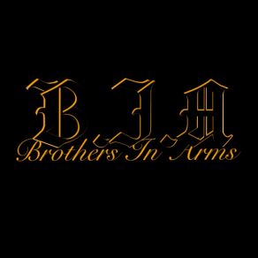 Download track Just The Strat Brothers In Arms