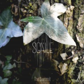 Download track The Summit (Instrumental) SgàileThe Instrumental