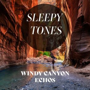 Download track Windy Canyon Echoes, Pt. 1 Jason Rivers