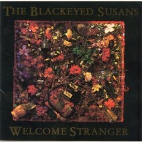 Download track Who's That By The Window? The Blackeyed Susans