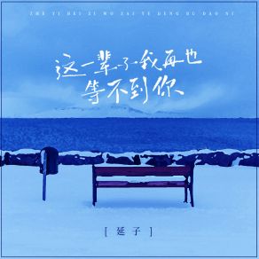 Download track 这一辈子我再也等不到你 延子