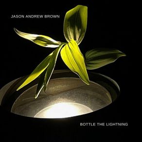 Download track Bottle The Lightning Jason Andrew Brown