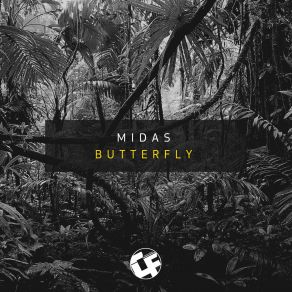 Download track Butterfly (Original Mix) Midas