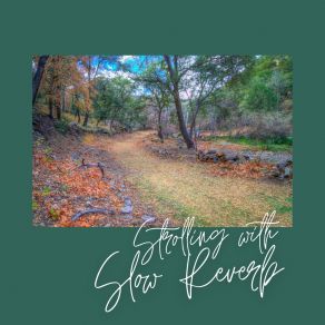 Download track Slow - Keep Trying Again Slow Grace