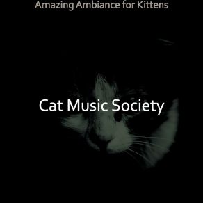 Download track Pulsating Backdrops For Cats Cat Music Society