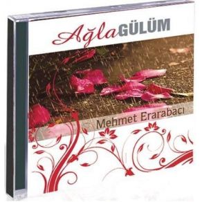 Download track Açın Bu Ravzayı Mehmet Erarabacı