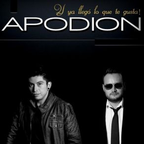 Download track Te Lo Perdiste Apodion