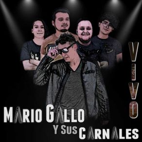 Download track Diva (En Directo) Sus Carnales