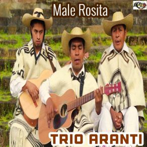 Download track Cuñadita Trío Aranti