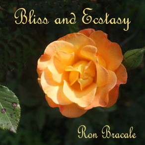 Download track Passionate Eyes Ron Bracale