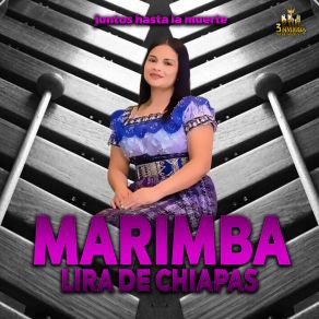 Download track Libro Sagrado Pop Wuj Timach Marimba Lira De Chiapas