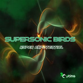 Download track Hyper Exponential Supersonic Birds