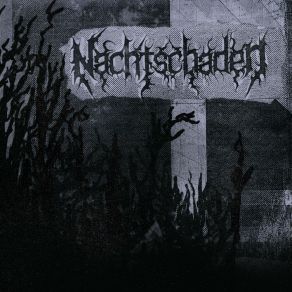 Download track Sirenhead Nachtschaden