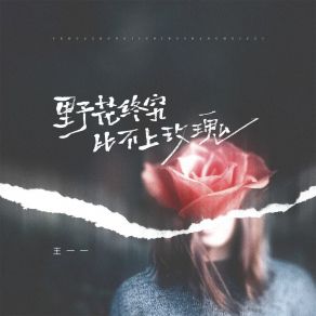 Download track 野花终究比不上玫瑰 王一一