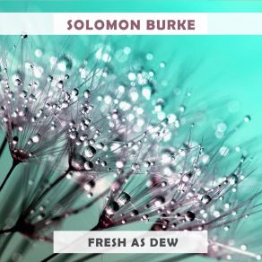 Download track You Can Make It If You Try Solomon Burke