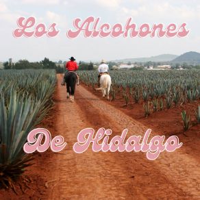 Download track El Corral De Piedra Los Alcohones De Hidalgo
