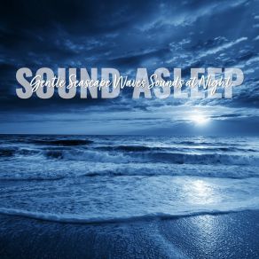 Download track Gentle Seascape Waves Sounds At Night, Pt. 6 Elijah Wagner