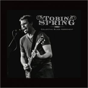 Download track Stepping Stone Tobin Spring