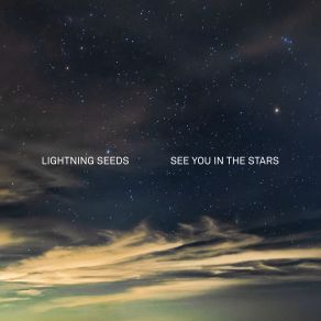 Download track Losing You The Lightning Seeds