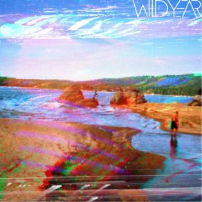 Download track Foolish Waves II Wild Year