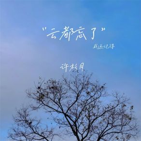 Download track 云都忘了 许杉月