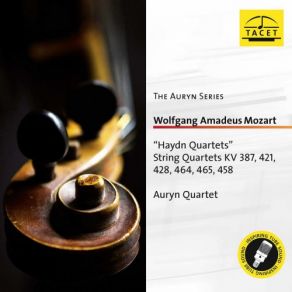 Download track String Quartet No. 15 In D Minor, K. 421: IV. Allegretto Ma Non Troppo Andreas Arndt, Auryn Quartet, Matthias Lingenfelder, Stewart Eaton, Jens Oppermann