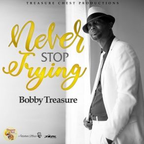 Download track Never Stop Trying Bobby Treasure