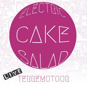 Download track From My Cold Dead Hands (Live) Electric Cake Salad